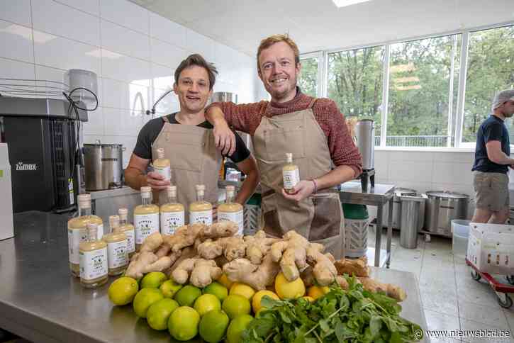 Van twintig dozen gember tot pittig gemberdrankje: “De dag krachtig en gezond inzetten”