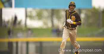 MacKenzie Gore, C.J. Abrams among Padres included on 2021 Arizona Fall League roster - Gaslamp Ball