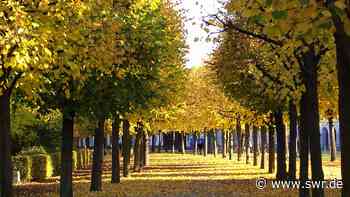 Fünf Ausflugstipps für den Herbst in Karlsruhe, Baden-Baden und Calw - SWR