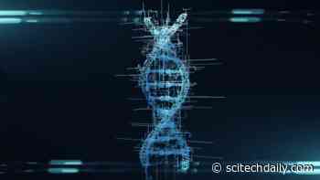 Weird and Wonderful: Coral Symbionts Have a Genome Like No Other