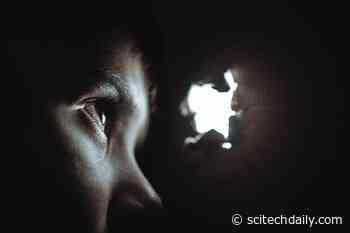 COVID-19 Stay at Home Orders Brought Uptick in Child Abuse – Increase in Physical Abuse Injuries