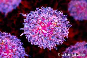 Harnessing the Power of Nature To Improve Anti-Cancer Therapy