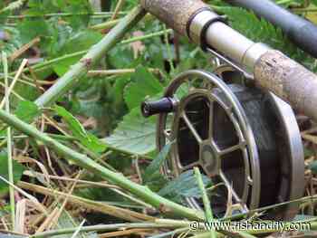 Tackle Shed Treasures – A 'Pin on a Pro Carp Lake - Fish & Fly - Fish and Fly