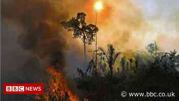 Google, YouTube ban ads on climate misinformation