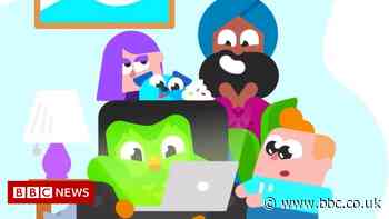 Duolingo boss plans to take on TikTok with maths