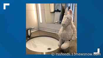 Norfolk International Airport looking to reunite stuffed unicorn with owner