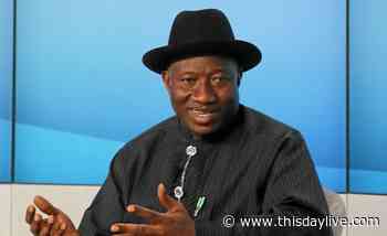 Jonathan's Cousin Raises the Alarm Over Indiscriminate Wood Logging in Forest Reserves - THISDAY Newspapers