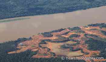 FOREST Act bill would hold global suppliers accountable for illegal deforestation - Mongabay.com