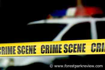 Teen suspected of Oak Park carjacking nabbed in Forest Park | Police reports Oct. 1-7 - Forest Park Review