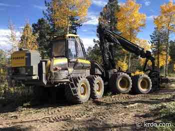 New technology improves forest health, decreases wildfire risk on Pikes Peak's north slope - KRDO
