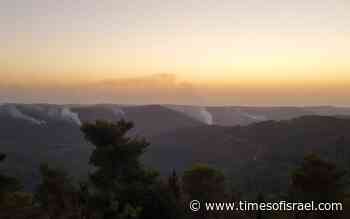 Forest fire near Beit Shemesh under control as evidence of arson mounts - The Times of Israel
