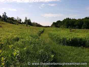Kawartha Conservation expands innovative Talking Forest app - ThePeterboroughExaminer.com