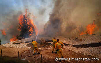 Firefighters battle forest fire near Beit Shemesh; woman arrested for arson - The Times of Israel