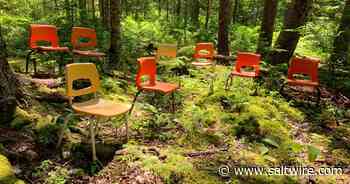 Pictou County Forest School flourishes - SaltWire Network