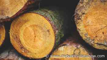 Forest Practices Board to audit license near New Hazelton - My Bulkley Lakes Now