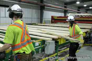 'Disrespectful': BC First Nations blast NDP's forest renewal effort – Port Alberni Valley News - Alberni Valley News