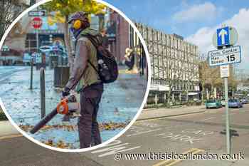 Harrow Council urged to ban 'inefficient' leaf blowers