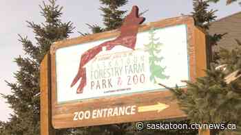 Saskatoon's Forestry Farm Park and Zoo wins two excellence awards - CTV News Saskatoon