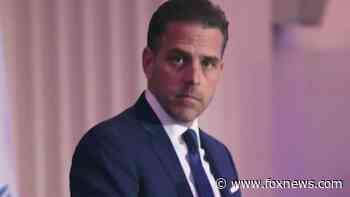 Devin Nunes: Hunter Biden art plan is 'outrageous' -- and 'the American people know it'