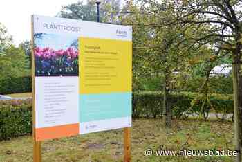 Oudenaarde krijgt troostplek aan Sociaal Huis: “Plek waar mensen elkaar kunnen vinden” - Het Nieuwsblad