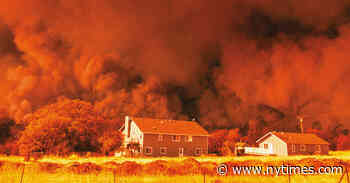 Paradise Was Lost. She’s Telling Its Stories.