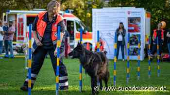 Echo e.V. feiert Jubiläum - Süddeutsche Zeitung