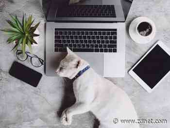 How iOS 15 can help you sleep better