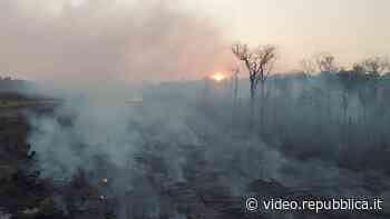 One Earth - Tutto è connesso: il documentario sulla crisi climatica globale - Repubblica TV