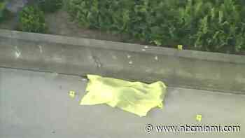 Homicide Investigation Underway After Body Found on Side of I-595 in Broward