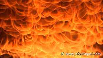 Students Arrested Over Plot to Set Florida School on Fire, Kill ‘Rude People': Deputies