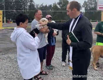 Pets blessed at Trinity Medical Center West | News, Sports, Jobs - The Steubenville Herald-Star