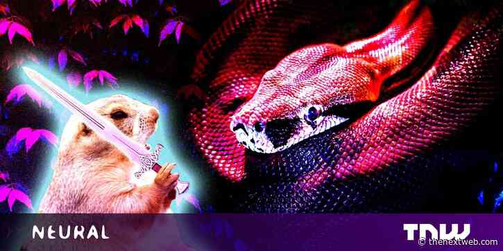 All Pythonistas should switch to Go… or okay, maybe just half