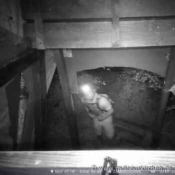 Foto-Fahndung nach Brandstiftungen im Billiger Wald - radioeuskirchen.de