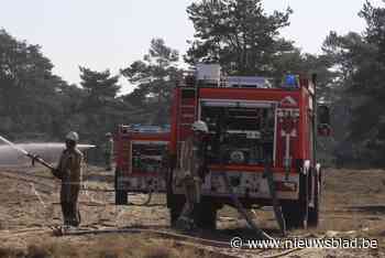 Grote bosbrandoefening met 150 brandweerlui en blushelikopter op domein Keiheuvel: “Noodzakelijke operatie na brand Groot Schietveld”
