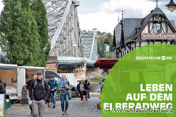 Dresden: Markttreiben mit Elbblick - Sächsische.de