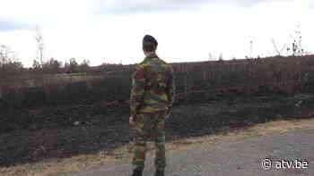 Wuustwezel verrast over gebruik fosforkogels bij brand Schietveld: "Niet goed voor vertrouwen" - ATV