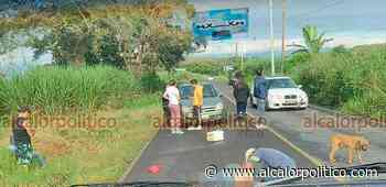 Menor muere arrollado sobre la carretera Coatepec-Tuzamapan - alcalorpolitico