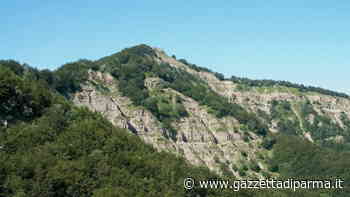 Trovato morto cercatore di funghi sul Ventasso - Gazzetta di Parma