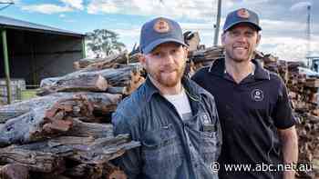 How versatile is a piece charcoal? Two brothers and a 'left field' business idea set to reenergise an outback town