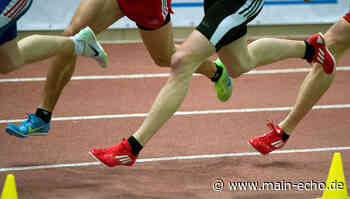 Staffel-Titelkämpfe in Marktheidenfeld: Zwei Untermain-Teams sind mit zehn Staffeln vertreten - Main-Echo