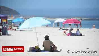 Covid: Shapps hopes travel test changes happen by end of half-term holidays