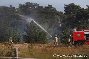 Limburgse brandweerzones doen mee met grote bosbrandoefening in Balen