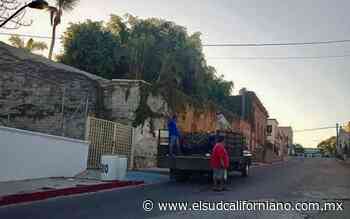Ayuntamiento enviará camión recolector de basura los domingos a Todos Santos - El Sudcaliforniano