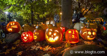 Pumpkin parades are returning to Toronto this year - blogTO