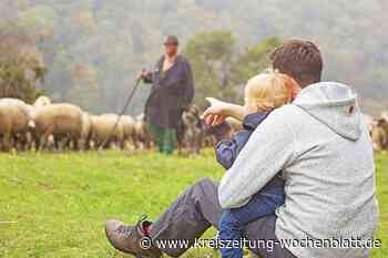 Reise: Zwischen Wacholderheide und Höhlen rund um Giengen an der Brenz - Buchholz - Kreiszeitung Wochenblatt