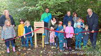 Zu Feen und Trollen: Walderlebnispfad "Zauberwald" in Nagold eröffnet