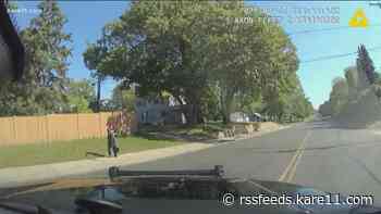 Dashcam video shows moments before squad car hits domestic assault suspect