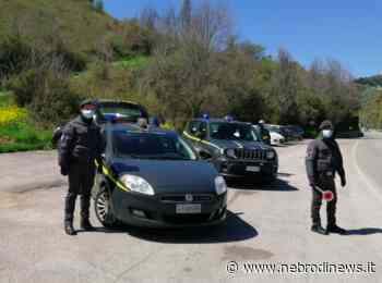 Enna, arrestata 25enne per detenzione di marijuana - Nebrodi News