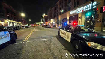 'Hellish' Minnesota shooting leaves 14 people injured, 1 woman dead