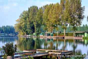 Voortvluchtige man opgepakt na klopjacht in bossen rond Oude Schelde: stond geseind voor zwaar partnergeweld